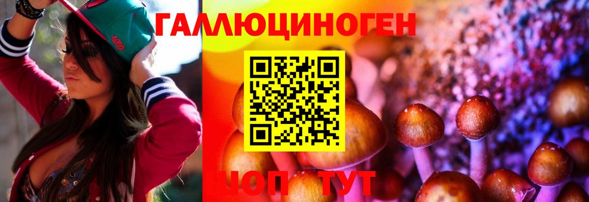 Псилоцибиновые грибы Cubensis Кинель
